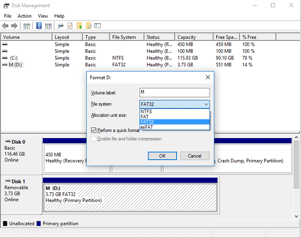 Choose File System Format