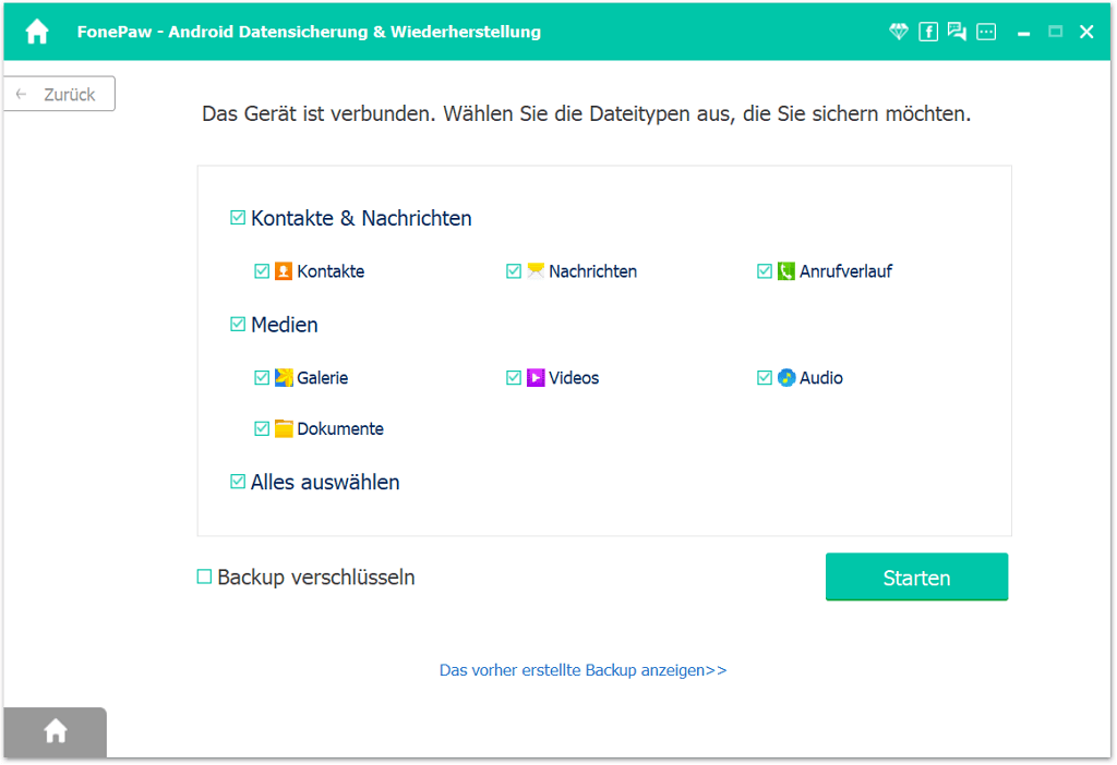 Galerie auswählen und Backup starten