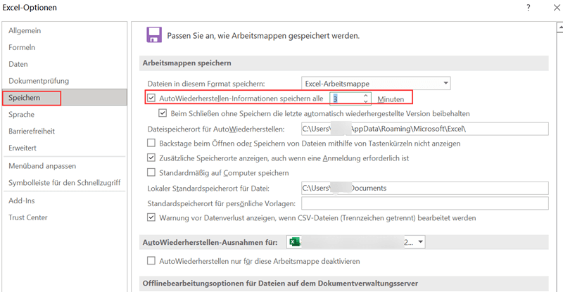 Excel-Dokumentwiederherstellung aktivieren