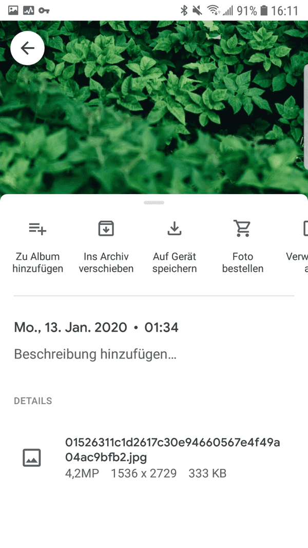 Google Fotos auf Gerät speichern