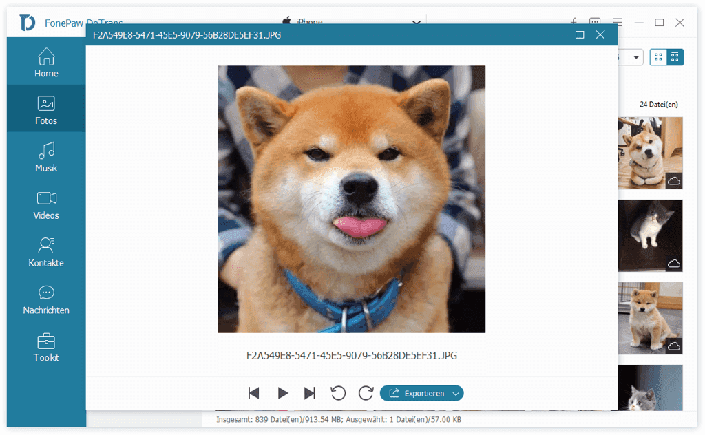 Originale iPhone Fotos ansehen auf PC