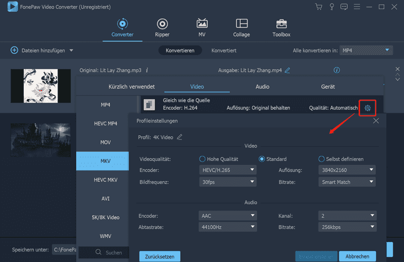 Profileinstellungen MKV