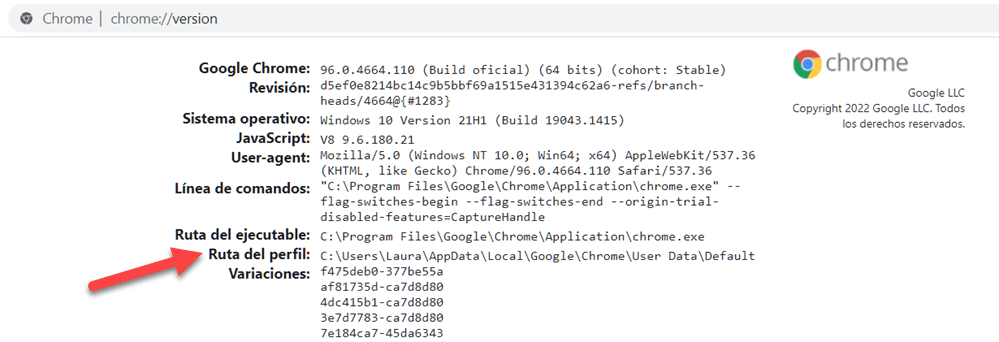 Ruta del perfil en Google Chrome