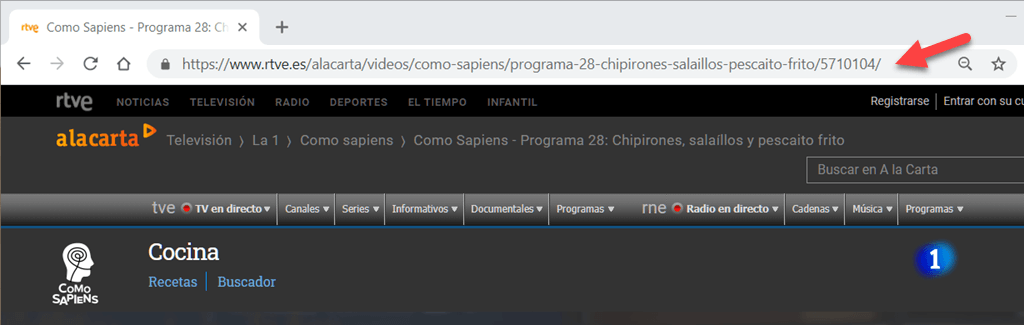 Copiar la dirección URL del video