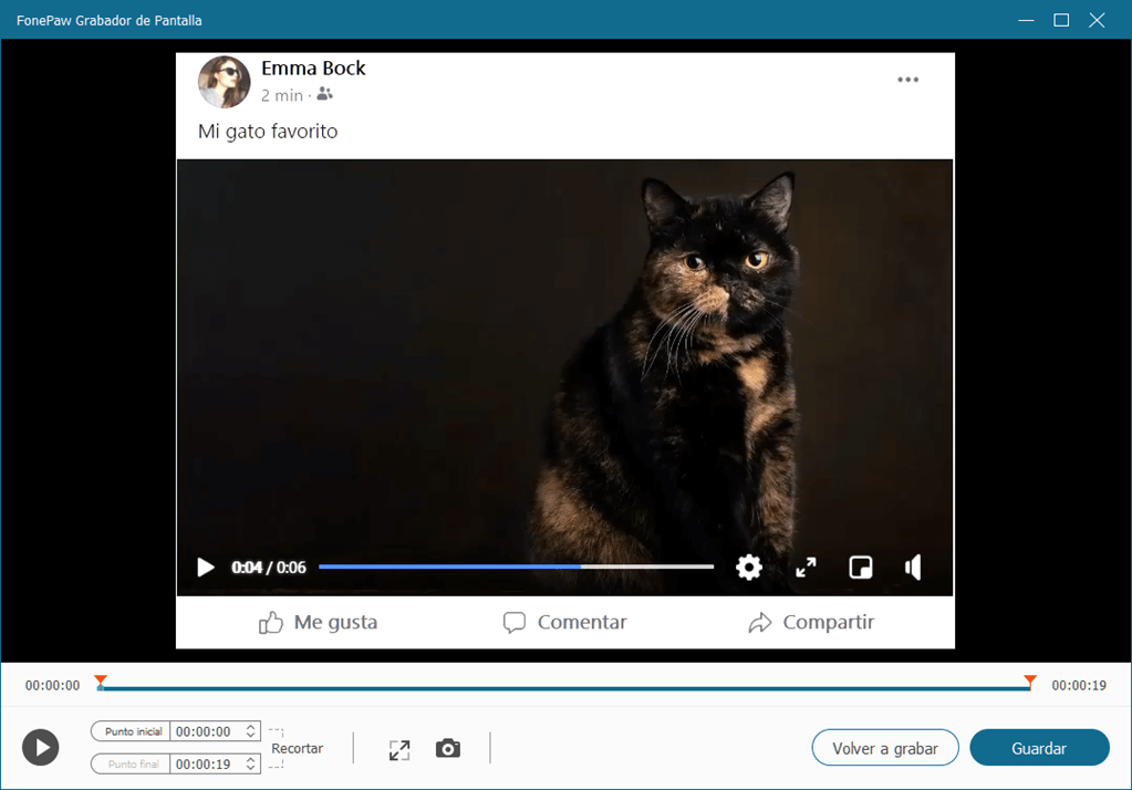 Revisar el video privado de Facebook grabado