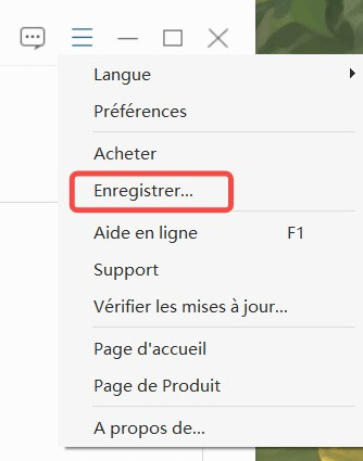 Allez dans Enregistrer de Menu