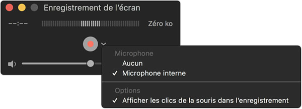 Microphone interne