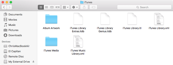 Cartella Libreria iTunes Mac