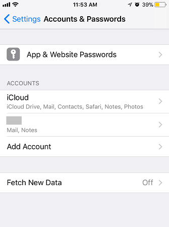 Accounts & Passwords on iPhone
