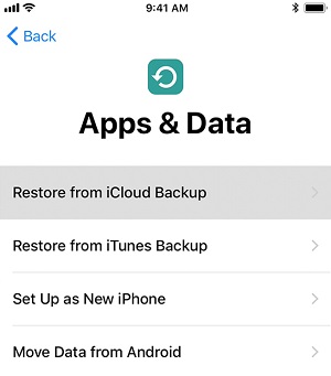 Restore from iCloud Backup