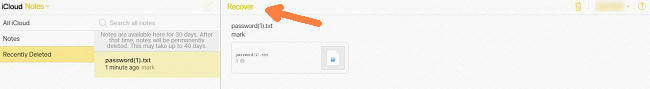 Recover Deleted Notes on iCloud