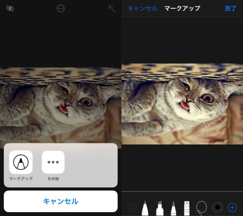 写真 マークアップ