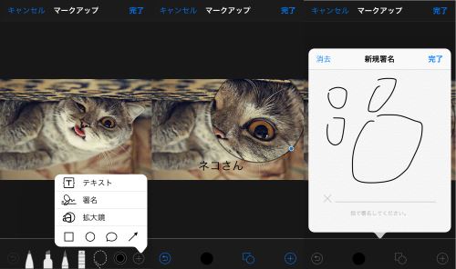 写真 テキスト