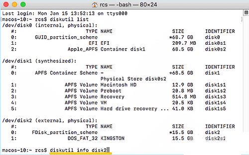 Diskutil List Info