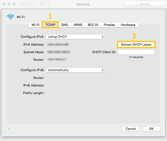 Renew DHCP Lease