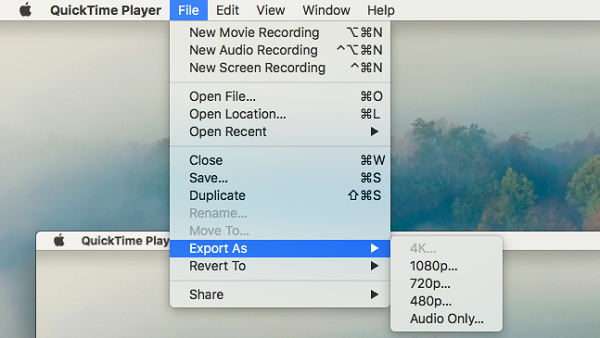  Quicktime Export As 