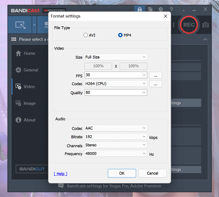 Bandicam Format Settings