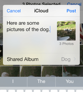 Add Photos to Shared Album