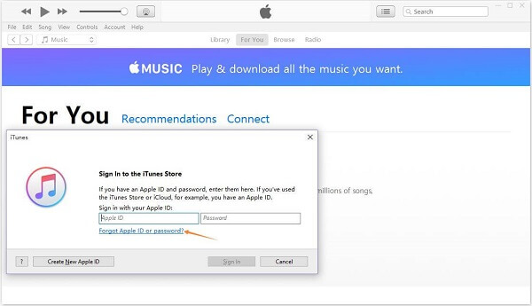 Reset iTunes Password