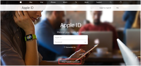 Reset Apple Password