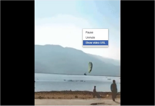 Show URL of Private Facebook Videos