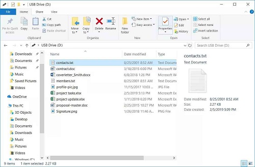 Windows File Explorer