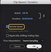 Reverse Video in Premiere