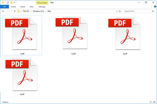 PDF Files