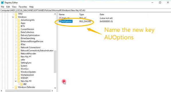 Registry Name AUOptions