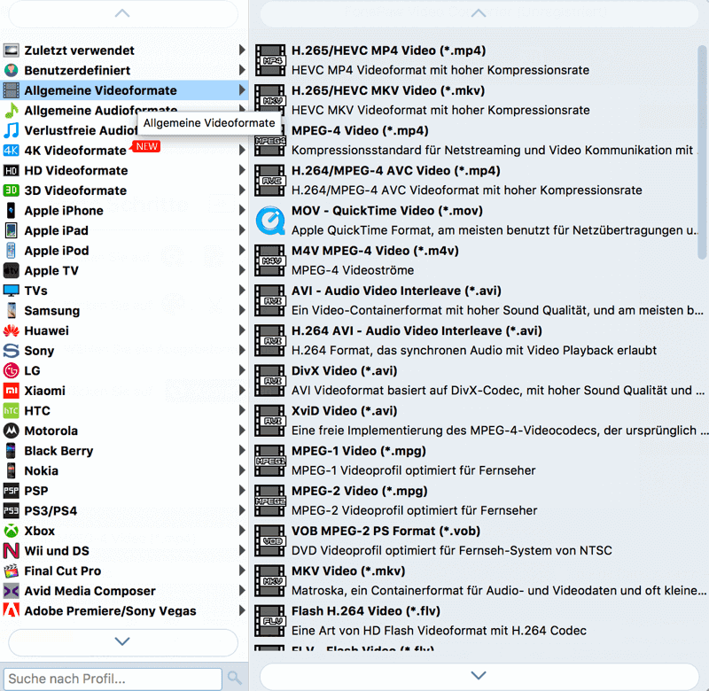 Ausgabeformat festlegen auf Quicktime Player