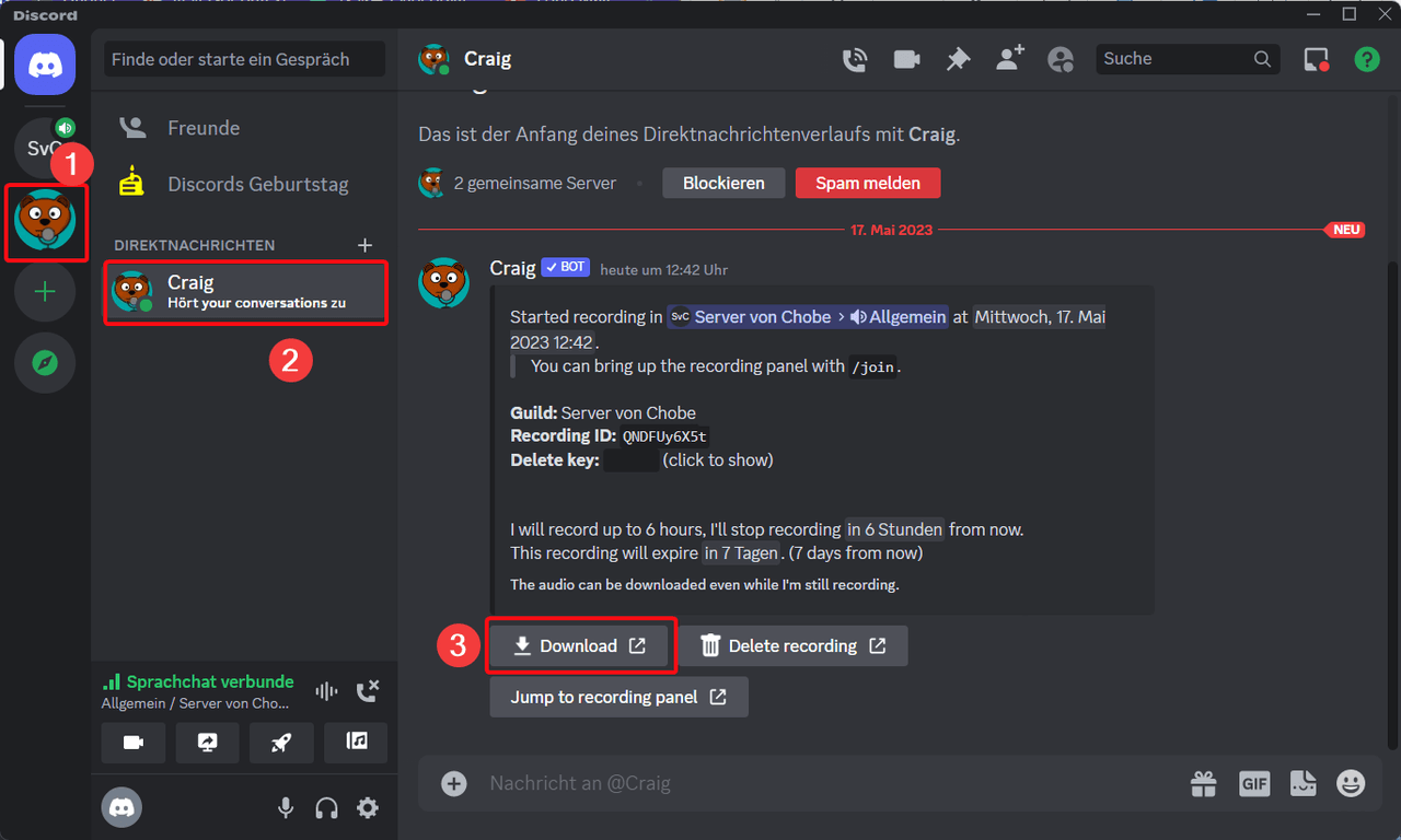 Discord Aufnahme speichern