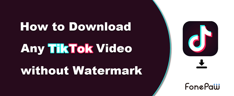 Download TikTok Videos