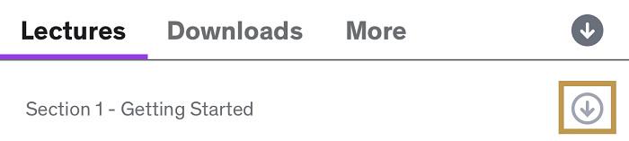 Download Udemy Lecture on Mobile