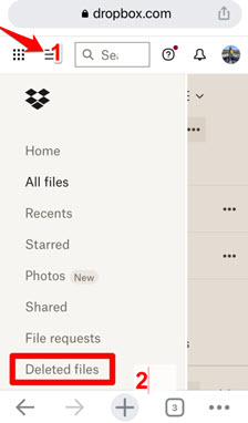 Dropbox Deleted Files