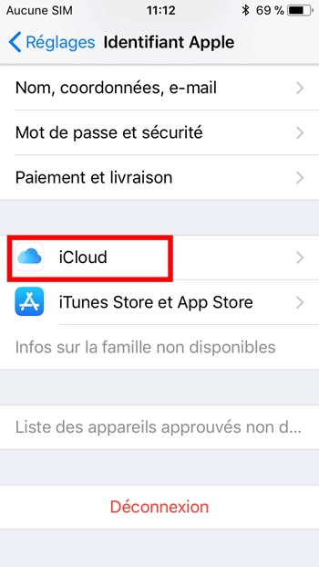 Cliquez sur l'option « iCloud »