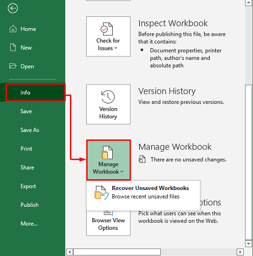 Manage Workbook in Excel