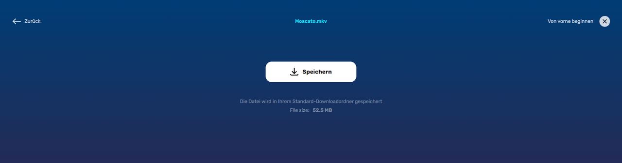 MKV-Datei speichern