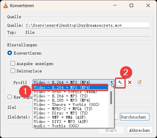 MP4 als Ausgabeformat auswählen