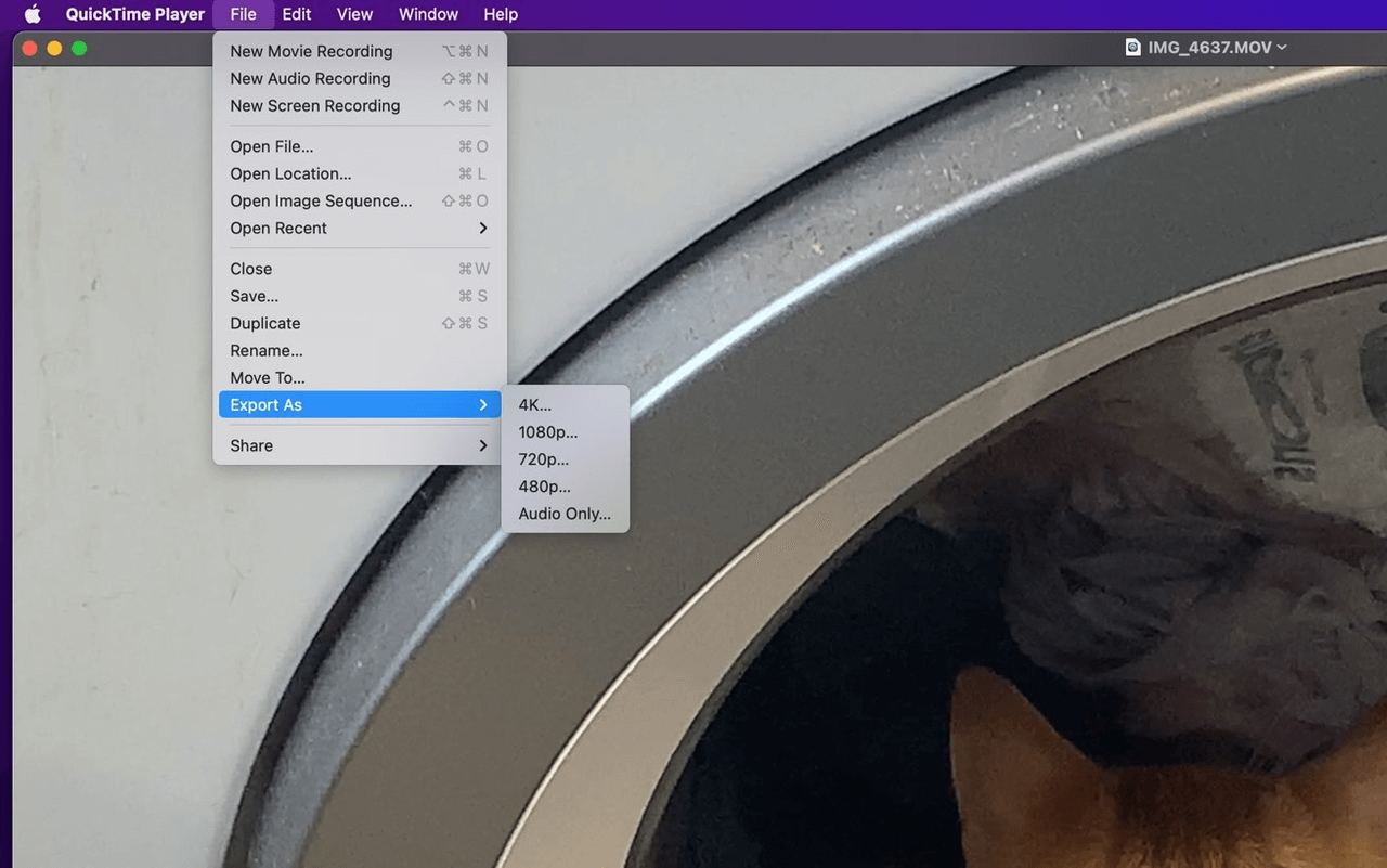 QuickTime Video Converter
