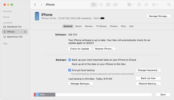 Ripristina il backup di iTunes su iPhone