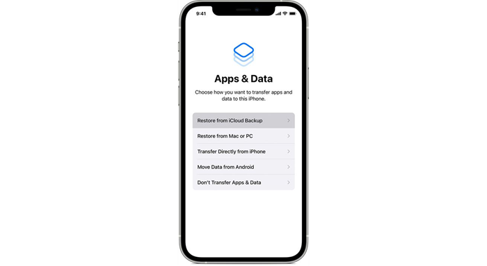 Use iCloud Backup to Transfer Data