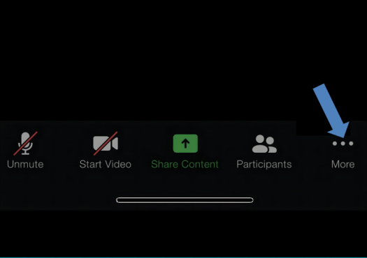 Zoom App More Options