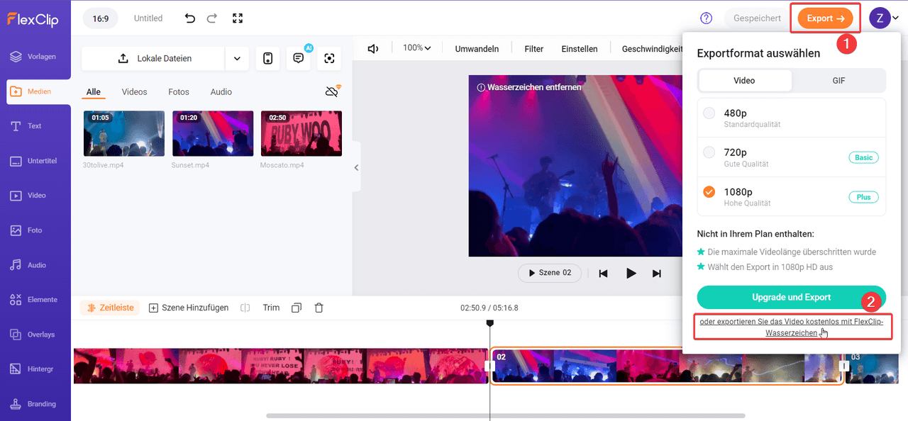 Zusammengefügtes Video von Flexclip exportieren