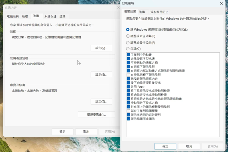 調整電腦效能選項