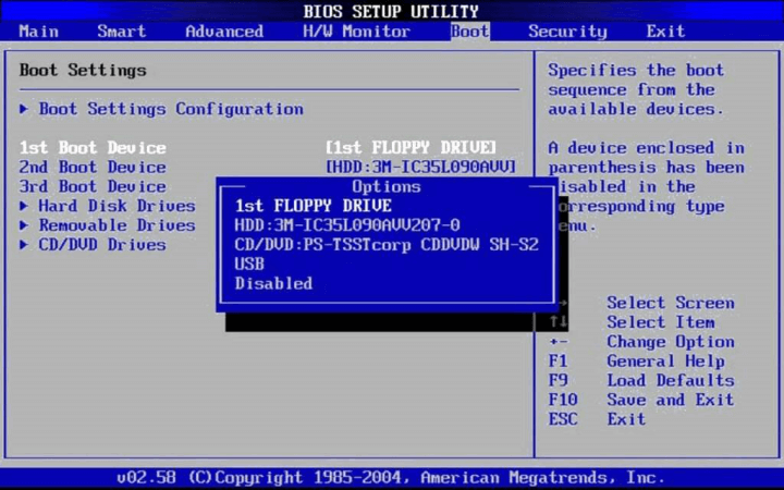 BIOS Bootreihenfolge einstellen