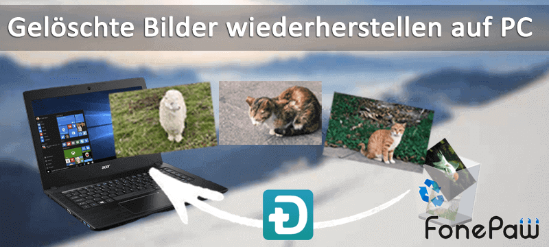 Gelöschte Bilder wiederherstellen auf PC