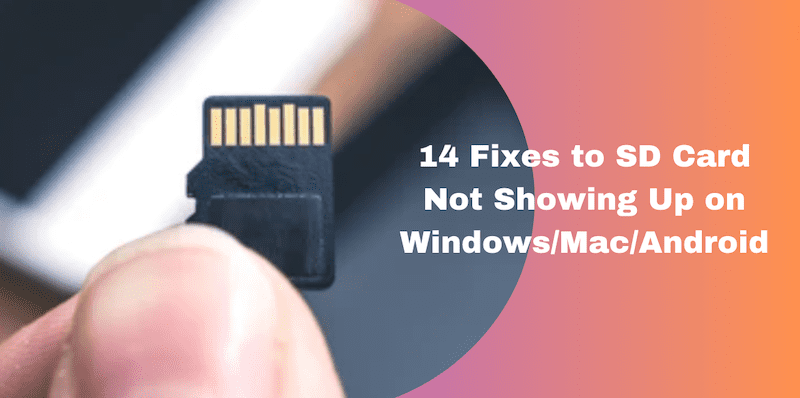 Windows/Mac/Android에서 SD 카드가 표시되지 않는 문제를 수정하는 14가지