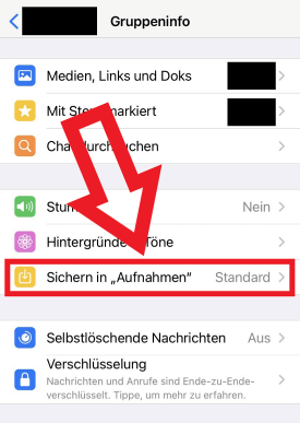 WhatsApp-Bilder auf iPhone automatisch speichern